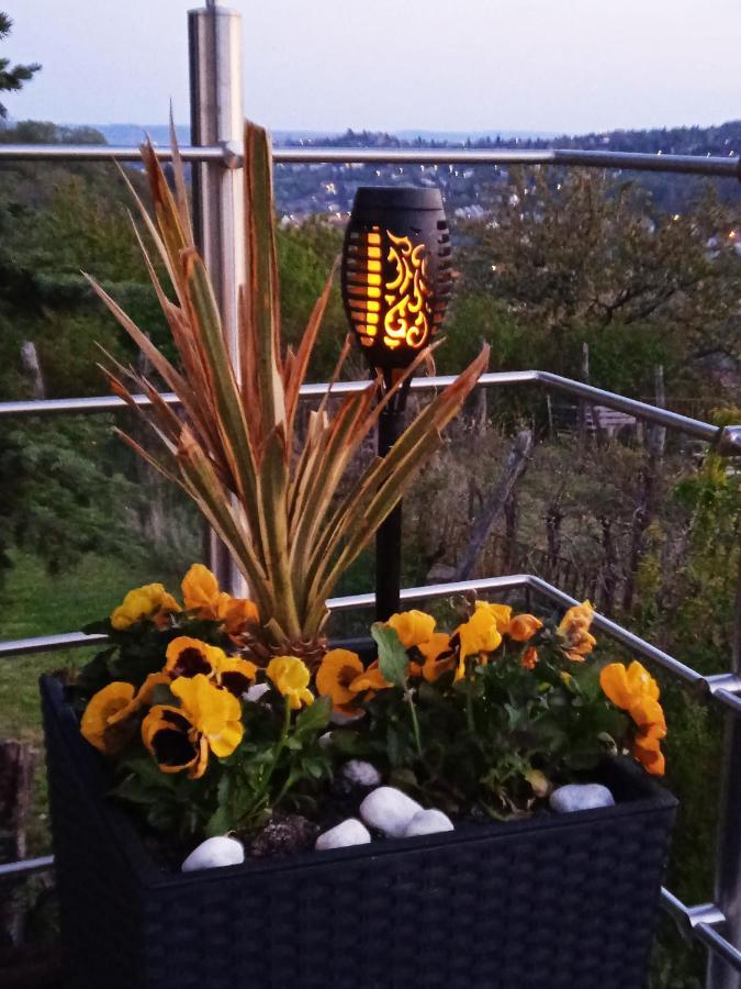 Hillside Cottage Печ Экстерьер фото
